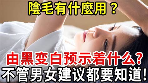 陰毛有什麼作用|男女生的「黑森林」3大功用 剃毛有1好處、1風險